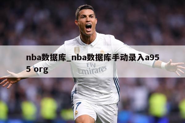nba数据库_nba数据库手动录入a955 org