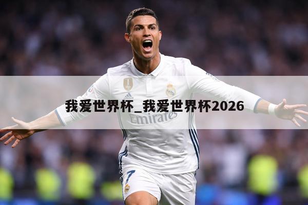 我爱世界杯_我爱世界杯2026