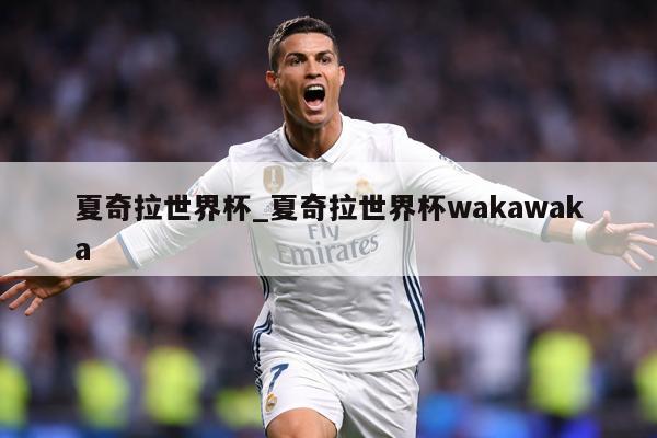 夏奇拉世界杯_夏奇拉世界杯wakawaka