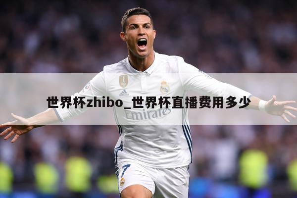 世界杯zhibo_世界杯直播费用多少